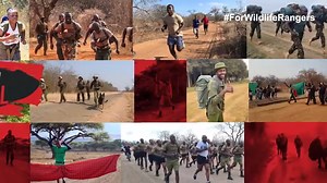 THREE DAYS to go until the #WildlifeRangerChallenge! ⏱️💪 We appreciate everyone who has already signed up, helped spread the word, or donated, and all the ranger teams who have been training hard in preparation over the past few months. Thank you to all the brave men and women working tirelessly to protect and safeguard Africa’s biodiversity and linked communities. If you would like to show your support #ForWildlifeRangers you can, by donating today at wildliferangerchallenge.org/donate | Tusk