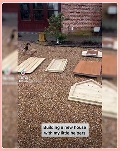 27 reactions | Can we build it!  YES we cannn! 閭‍♀️  by @moby_duck_adventures ❤ Follow Cute Duck for even more cuteness ! | Cute Duck Old Page | Facebook