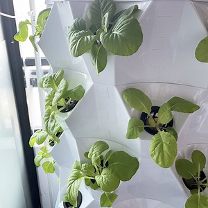 Aeroponics Systems For Sale | Vertical Hydroponic Tower System | HC