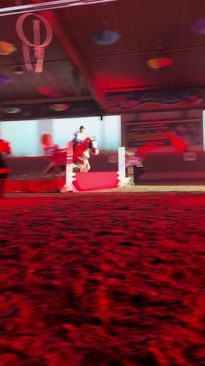 🤠🤪#Kitti#bernsteinreiter#pferdeshow