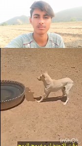 1.6K views · 11 reactions | HR Wala Farjan on Reels | Facebook