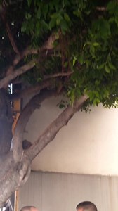 18 reactions | #nasihamniha #wesellpro #touring #lebanon #staytuned | Nasiha Mniha | Facebook