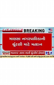 2.3K views · 28 reactions | Voting underways for Mansa Nagarpalika Elections: Voters react | Gandhinagar | Gujarat Elections #mansa #gujaratlocalbodyelection #gujaratelection #localbodyelection #election2025 #gujarat #tv9gujarati | TV9 Gujarati | Facebook