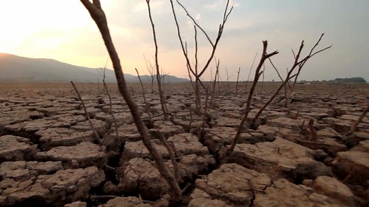 The IPBES #TransformativeChange Report explores the underlying causes of #biodiversity loss & options to achieve the 2050 Vision for Biodiversity. 🐝🌎 🎥 Watch the intro video to learn more and stay tuned for more chapter summary videos! | IPBES