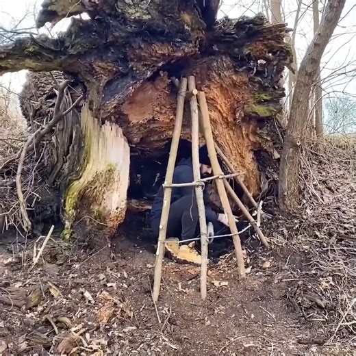 5.8K views · 78 reactions | Building a secret shelter inside a fallen tree near a mystical lake. | Adventures Bushcraft | Facebook
