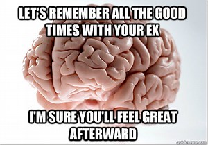 [Image - 281562] | Scumbag Brain