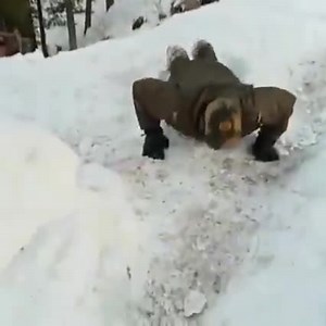 2.2K views · 287 reactions | 50 seconds. 57 push ups. Bring it ON...Again! #FitIndiaChallenge | Indian Army | Facebook