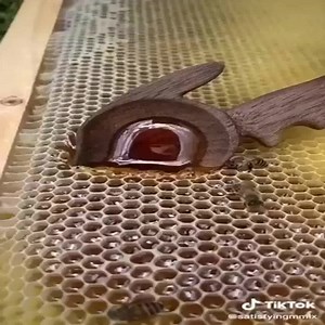 16K views · 191 reactions | Amazing Please join our group: Interesting Life | Balance Of Nature | Facebook