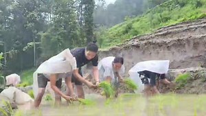 DarjeelingTimes.com - Darjeeling News on Reels