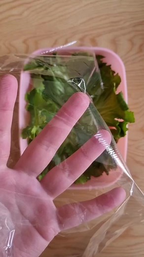 6.3K views · 128 reactions | Pokemon fans are sure to get a 'kick' out of this Scorbunny character bento, made by the talented @bentodaisuki! Such a cute bento is quite the catch, pun intended. | Bento&co | Facebook