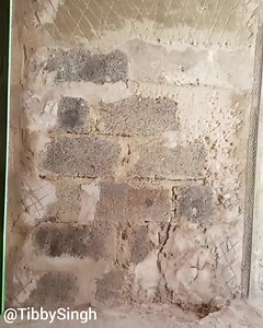 Tibby Singh on Reels