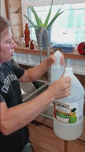 🪰 🐮 Homemade Fly Spray