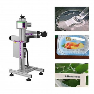 [Hot Item] 30W-60W CO2 Laser Coding Machine - Efficient Marking Solution for Plastic Bottles, Glass & PVC Products in Production Lines