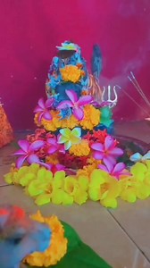 Namaha Shivaya 🇲🇺🙏 🇲🇺🕉✝️☪️♋☮🔯🕎 ऊँ नमः शिवाय Monday Blessing PHOTO BY: Anusha Ji 🌿🌺🌿 | Made in Maurice