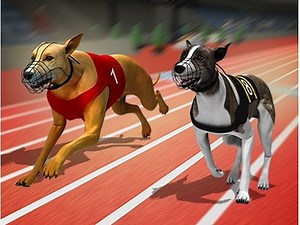Play Racing Dog Simulator : Crazy Dog Racing Games | Free Online  Games. KidzSearch.com