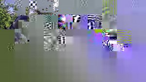 35K views | Nicholas Kristof on Reels | Facebook