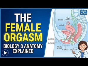 Female Orgasm Explained | What Happens Inside the Body
