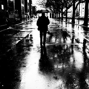 An ode to the fallen