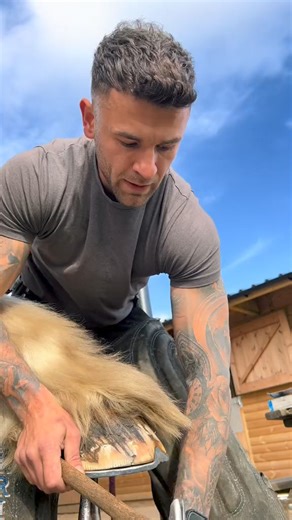 38K views · 736 reactions | Hammer clenching a big Clydesdale hoof  he was s big boy at 20 hands 20 inchs of steel on here #farrier #work #horse #clydesdale #hoof #fyp #tiktok | Samuel wolfenden | Facebook