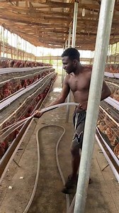 1.7K views · 11 reactions | Un projet qui vous permet de gagner beaucoup de millions... #chronomotivation #businessconsultantdubai #entrepreneurmotivation #poison #entreprendreaufeminin #motivationquotes #businessconsultant | Chrono Motivation | Facebook