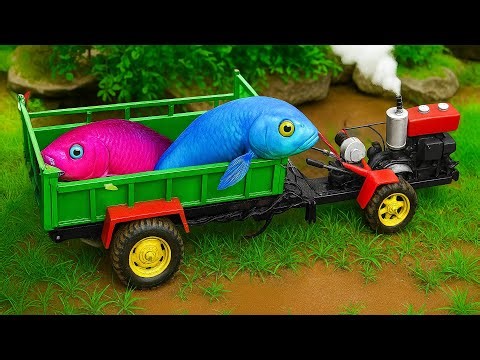 Koi Fish Playing With Spaceships, Frogs Dj, Catfish, Octopus - Stop Motion Fish In Mud Coco