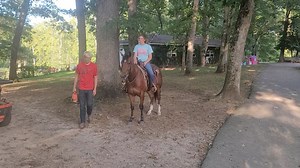 A Step Above Stables on Reels