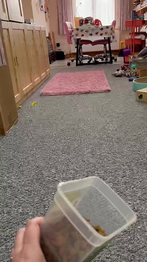 #pet #cat #dog #cute #animals #funny #foryou #fyp #funnypet #petstore #usa #petusa #reels #funnycat #funnydog | Funny Video Mercedes Benz