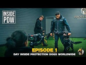 A Day Inside Protection Dogs Worldwide | INSIDE PDW Episode 1