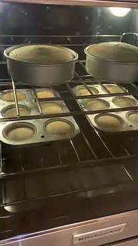 Kitchenaid stove steam Rack baking