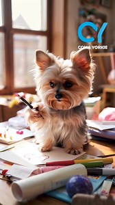 I tried to draw a heart but I guess I couldn't do it. Coma Yorkie Yorkie Star #comayorkie #yorkie #yorkiestar | Coma Yorkie