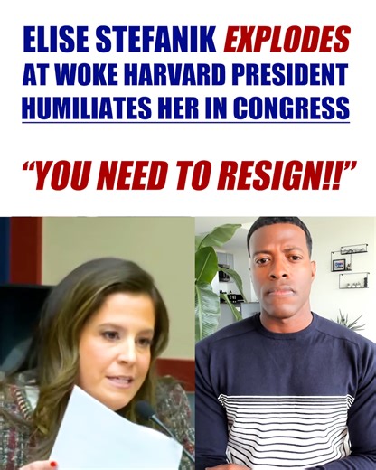 Elise Stefanik EXPLODES at woke Harvard President; HUMILIATES her in Congress | Rob Smith