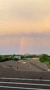 90 reactions | Rainbow in Houston | Fat Tested Travel - Plus Size Disney | Facebook