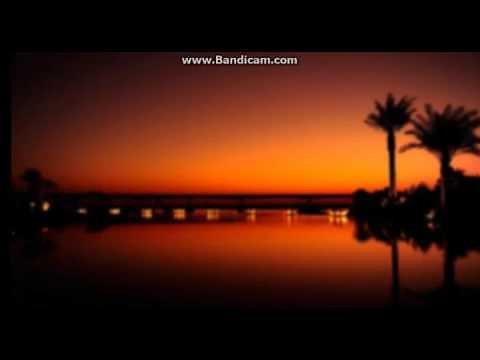 Golden Swagger Dominic Glover