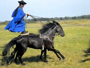 Crazy Hungarian Style Horse-Riding