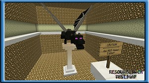 RESOURCE PACK TEST MAP