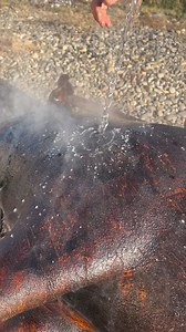 10K reactions · 63 shares | Eugen Danca on Reels | Facebook