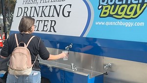 Manatee Lagoon on Reels