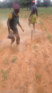 Les cultivateurs.. | JD TV