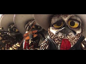 Ver Pelicula Rango Online Castellano