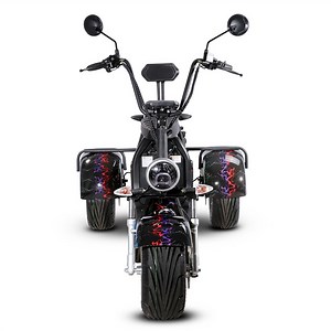 [Hot Item] EEC Citycoco Electric 3 Wheel Scooters for Adults Coc Chopper Electric Motorcycle
