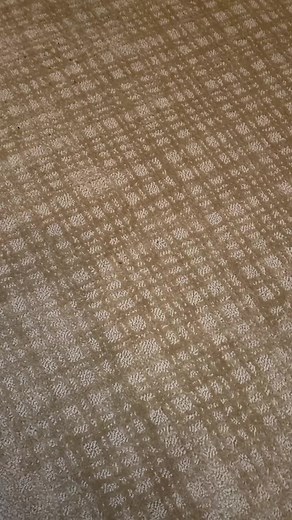 fidgets <3 on TikTok