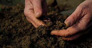 Cinematic Close Up Shot Of Mature Male Stock Footage SBV-348548997 - Storyblocks