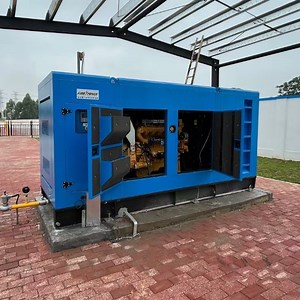 [Hot Item] Hot Sale 250kw LNG CNG Natural Gas Biogas Genset