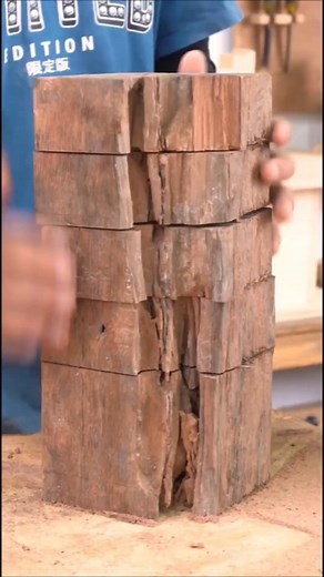 He turned a termite infested log into something amazing woodworkingtoolstv #satisfying #viralreelsfb #fypシ゚viral | Ariella Aversa