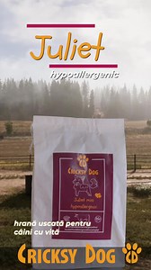 Din păcate, alergiile câinilor se răspândesc din ce în ce mai mult în zilele noastre și, după cum vedem, unul din doi câini are deja un fel de sensibilitate alimentară. În cele mai multe cazuri, aceasta nu se face remarcată, și câinele trăiește asimptomatic cu asta. Din păcate, cu o nutriție inadecvată și mâncare de o calitate slabă, nu numai că pot apărea simptome, dar alergiile câinelui se pot adânci cu ușurință, iar sănătatea câinelui se poate înrăutăți. De aceea spunem: Mâncarea corectă este