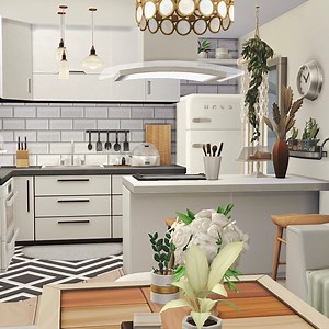 Modern Rustic Apartment | No CC | 01