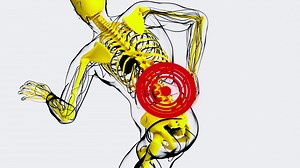 4k Anatomy Concept Of Back Pain Stock Motion Graphics SBV-347800327 - Storyblocks
