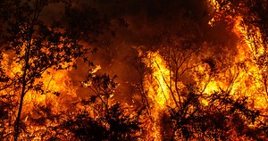 Red Canyon Fire Declared Emergency As It Devastates Ranches And Livelihoods