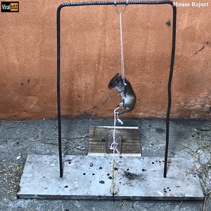 727K views | Mouse Trap Homemade /DIY to make a Mouse Trap easy / Mouse Reject Credit: Mouse Reject - youtu. be/o0rsCnf-5WE | SHIVA The way of Defence | Facebook