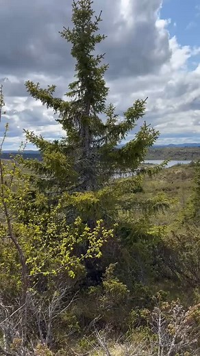 Sol og sky og fjellet 🙌🏻❤️. . . . 📸Astri Knutsdotter #landscape #nature #naturephotography #photography #nature_perfection #landscapephotography #hikewithpk #yourshotphotographer #norway #bestofnorway #norwaynature #snapseed #dreamchasersnorway #visitnorway #photooftheday #utno #yrbilder #2vær #nrkinnlandet #norgebilderno #norges_fotografer #norgeimitthjerte #veggbilder #fjelltid #norskfriluftsliv #visitinnlandet #nasjonalparkriket #godmorgennorge #skyerpåhimmelen #fjellet | Astri på eventyr
